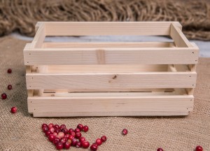Skrzynka ażurowa 300x160x120 